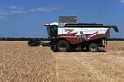 Комбайн собирает урожай пшеницы в Ростовской области. В южных регионах России стартовал сбор пшеницы. Место: Россия, Ростовская область. Автор: Сергей Пивоваров/РИА Новости. Уборка урожая пшеницы на юге России