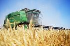Сбор урожая пшеницы в Запорожской области