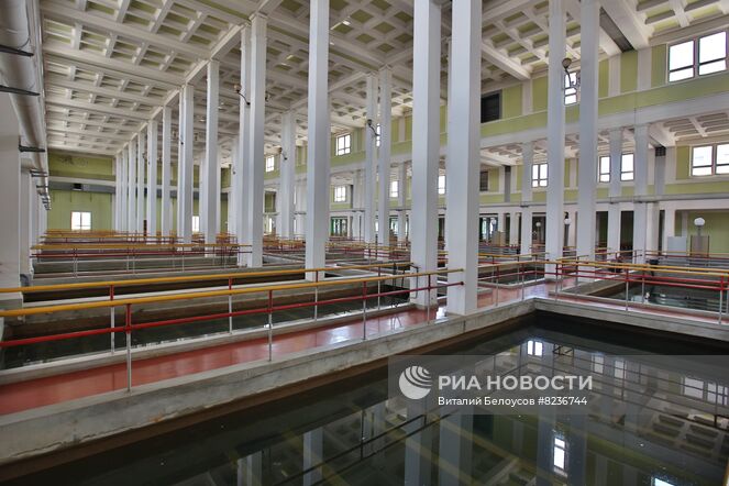 Цех отчистки воды на Восточной станции водоподготовки в Москве. Место: Россия, Москва. Автор: Виталий Белоусов/РИА Новости. Восточная станция водоподготовки