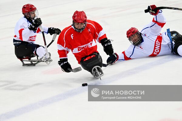 Гала-матч по хоккею в поддержку паралимпийцев
