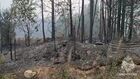 Выгоревший лес в Карелии. Стоп-кадр с видео. Изображение является раздаточным материалом, предоставлено третьей стороной. Только редакционное использование. Запрет на архивирование, коммерческое использование, рекламную кампанию. Место: Россия, Республика Карелия. Природные пожары в Карелии