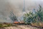 Лесной пожар рядом с Сямозером в Пряжинском районе Карелии. Место: Россия, Республика Карелия. Автор: Илья Тимин. Природные пожары в Карелии