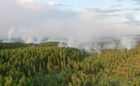 Горящие леса в районе Сямозера в Пряжинском районе Карелии. Место: Россия, Республика Карелия. Автор: Илья Тимин. Природные пожары в Карелии