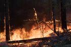 Горящий лес рядом с Сямозером в Пряжинском районе Карелии. Место: Россия, Республика Карелия. Автор: Илья Тимин. Природные пожары в Карелии