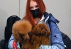 Прилет участников Олимпиады-2022 в Москву Прилет участников Олимпиады-2022 в Москву