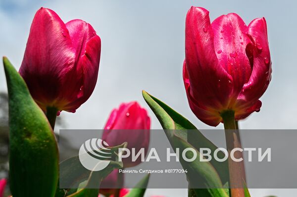 #ОткрываяРоссию. Крым