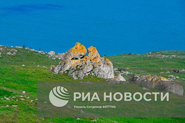 #ОткрываяРоссию. Крым