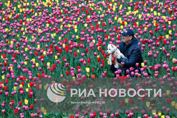 НЕДЕЛЯ В ФОТОГРАФИЯХ