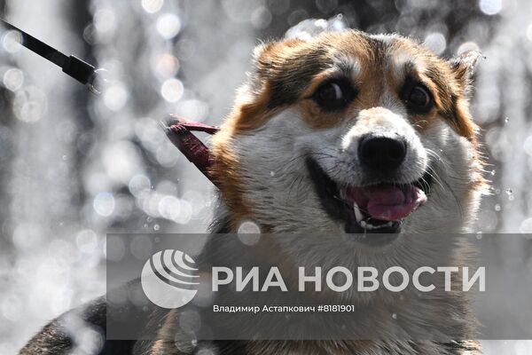 Отдых горожан в Москве