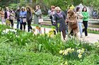 Весенний фестиваль цветов в Ботаническом саду МГУ "Аптекарский огород"